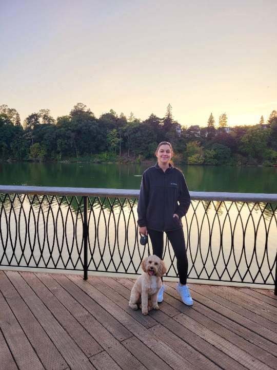 Grooming in Brampton with Best Prices on PetBacker