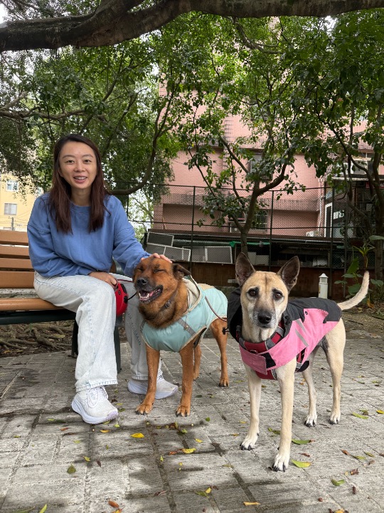 我在 PetBacker 完成了一次 遛狗服務 預訂！ 黑嘴跟哈莉是兩位天使寶寶，穩定、貼心又有活力！食慾非常好，罐罐、雞胸肉任何一口都不放過，就連波蜜爸爸手上的零食都站崗守護；會互相照顧，回頭看我是否有跟上腳步，爬樓梯時更是一層一層回頭關心❤️這八天有黑嘴跟哈莉的陪伴很幸福