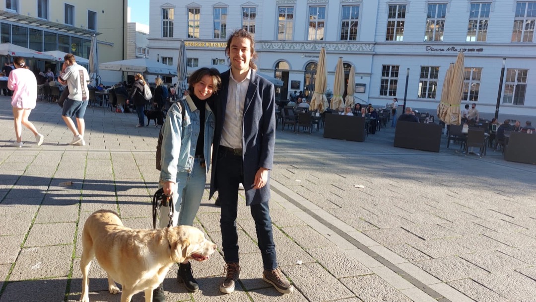 Trier Best Pet Boarding, Grooming for Dogs, Cats with Pickup