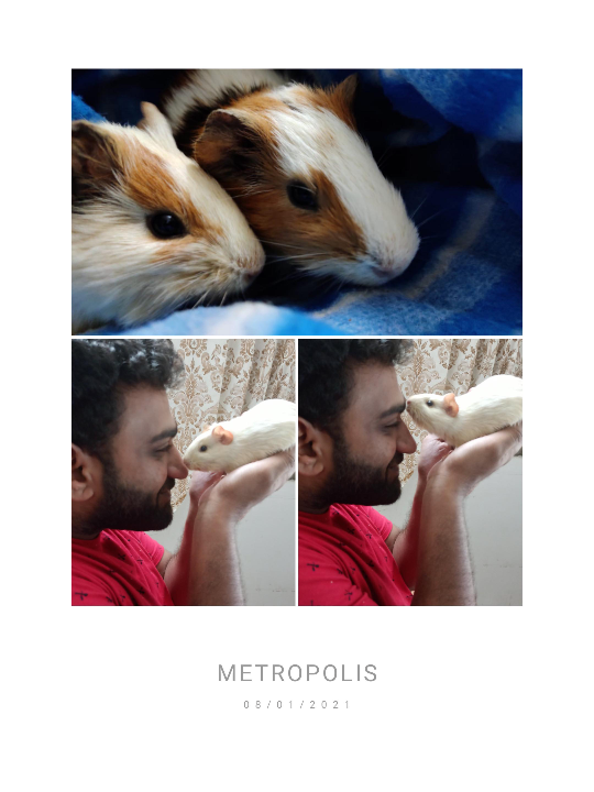 Pet Boarding in Chennai with Best Prices on PetBacker