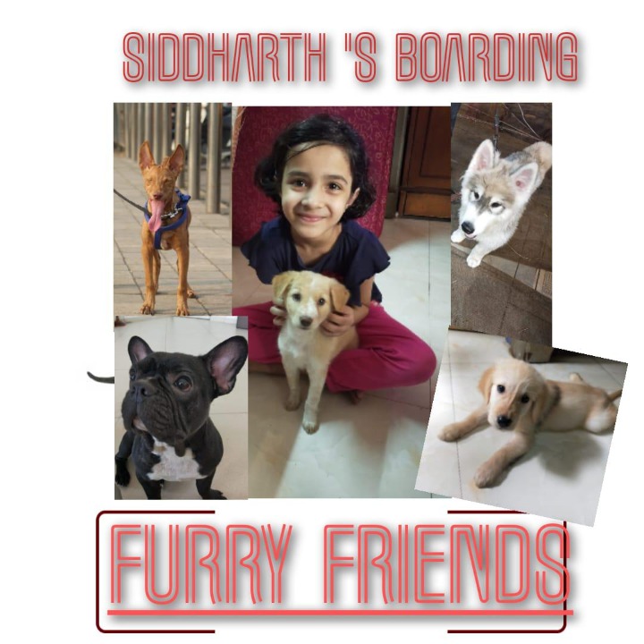 Top Walking in Borivali East with Best Prices on PetBacker