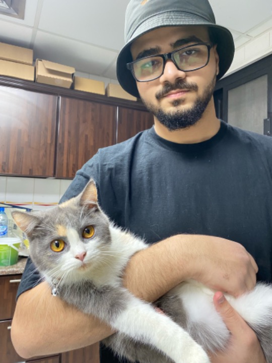 Top Abu Dhabi Cat Sitters Prices & Reviews PetBacker