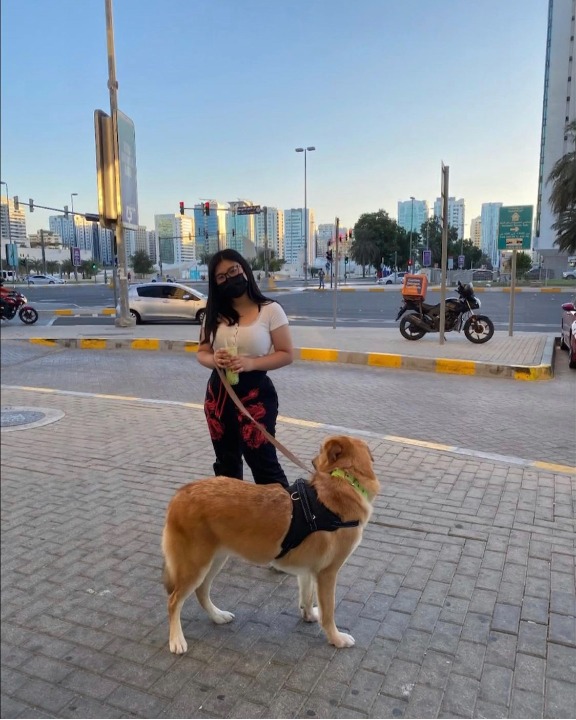 Top Dog Boarding in Melbourne with Best Prices on PetBacker