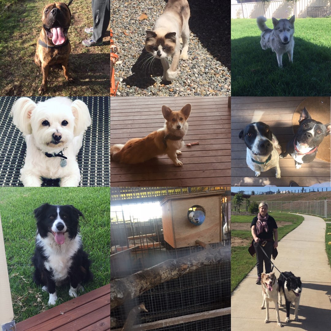 Pet Sitters in Cardiff with Best Prices on PetBacker