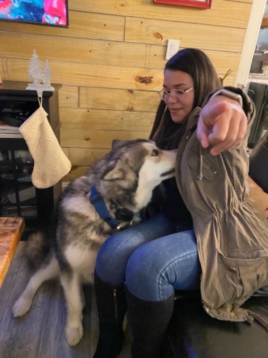 Clermont Best Pet Boarding, Grooming for Dogs, Cats with Pickup PetBacker Florida