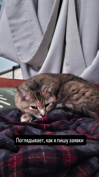 I've completed a Sitting booking at PetBacker! Ella was very friendly and sweet :)