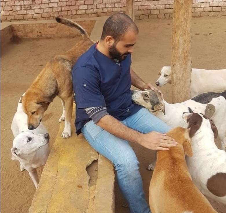 Cairo Egypt Best Pet Boarding, Grooming for Dogs, Cats with Pickup