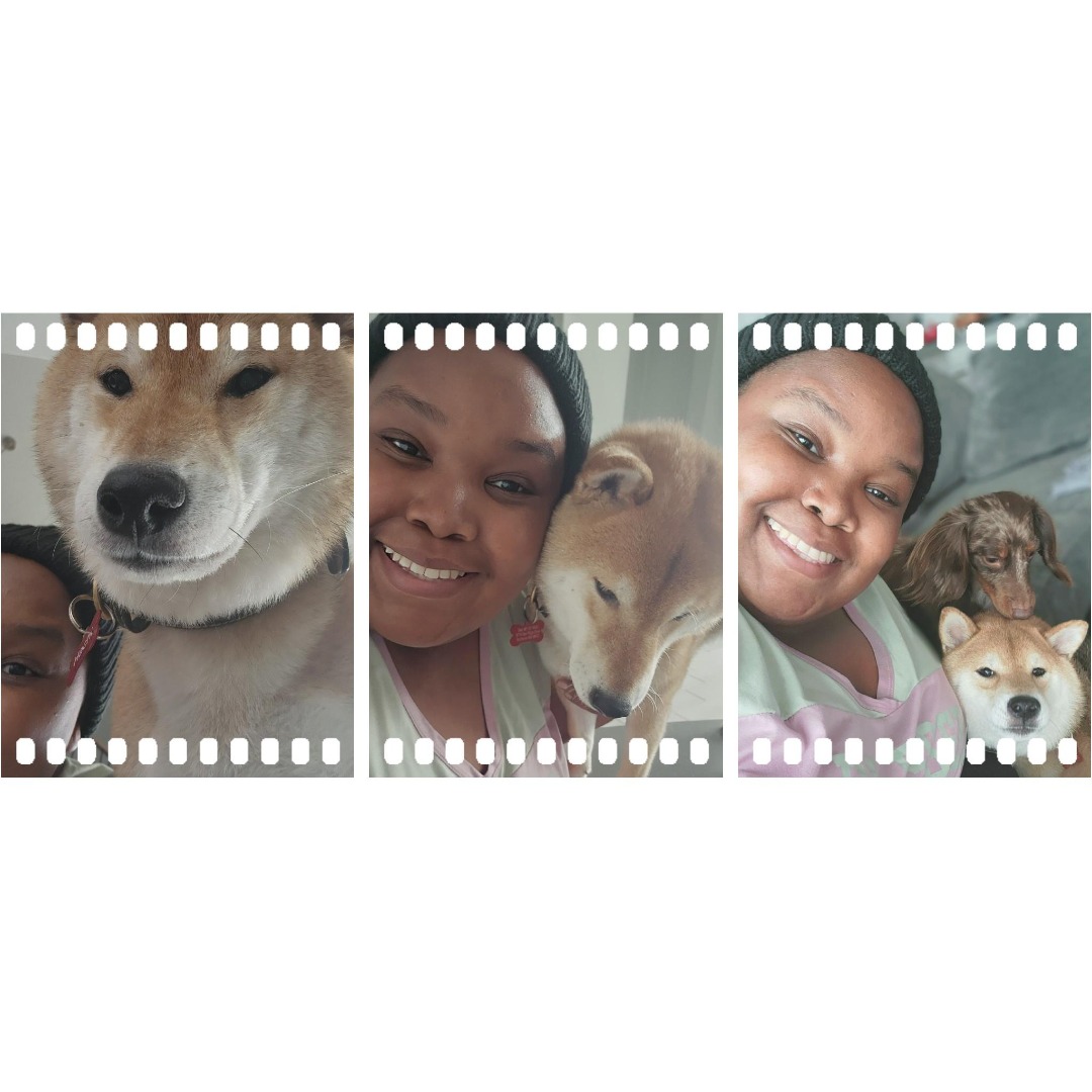 Top Dog Boarding in Midlothian with Best Prices on PetBacker