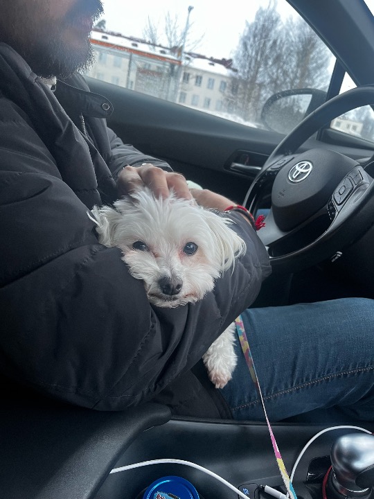 I've completed a Pet Care booking at PetBacker! It was always good 😊 