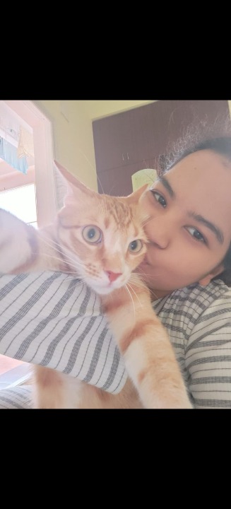 I've completed a Pet Care booking at PetBacker! It was lovely hosting the trio. Adorable cats 😍