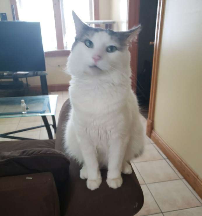 Top Dog Boarding in Hammond with Best Prices on PetBacker