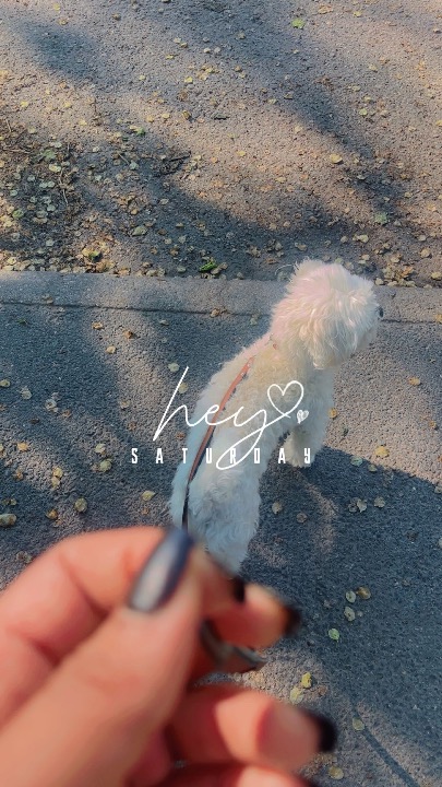 I've completed a Pet Care booking at PetBacker! Always very good experience with her 🥰