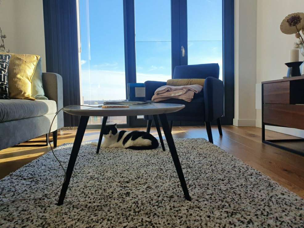 Top Dog Boarding & Dog Hotel in Erdington B24 with Best Prices on PetBacker