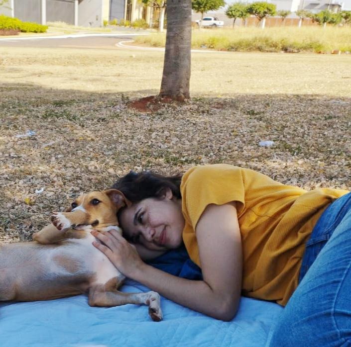 กระบี่ Best Pet Boarding, Grooming and Pet Sitters Near Me PetBacker