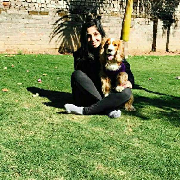 นครราชสีมา Best Pet Boarding, Grooming and Pet Sitters Near Me