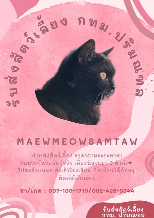 Pet Sitters in Redmarley D Abitot with Best Prices on PetBacker