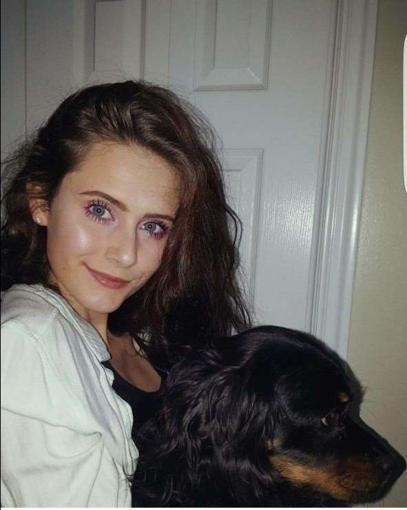 Doggy Daycare in Los Angeles with Best Prices on PetBacker