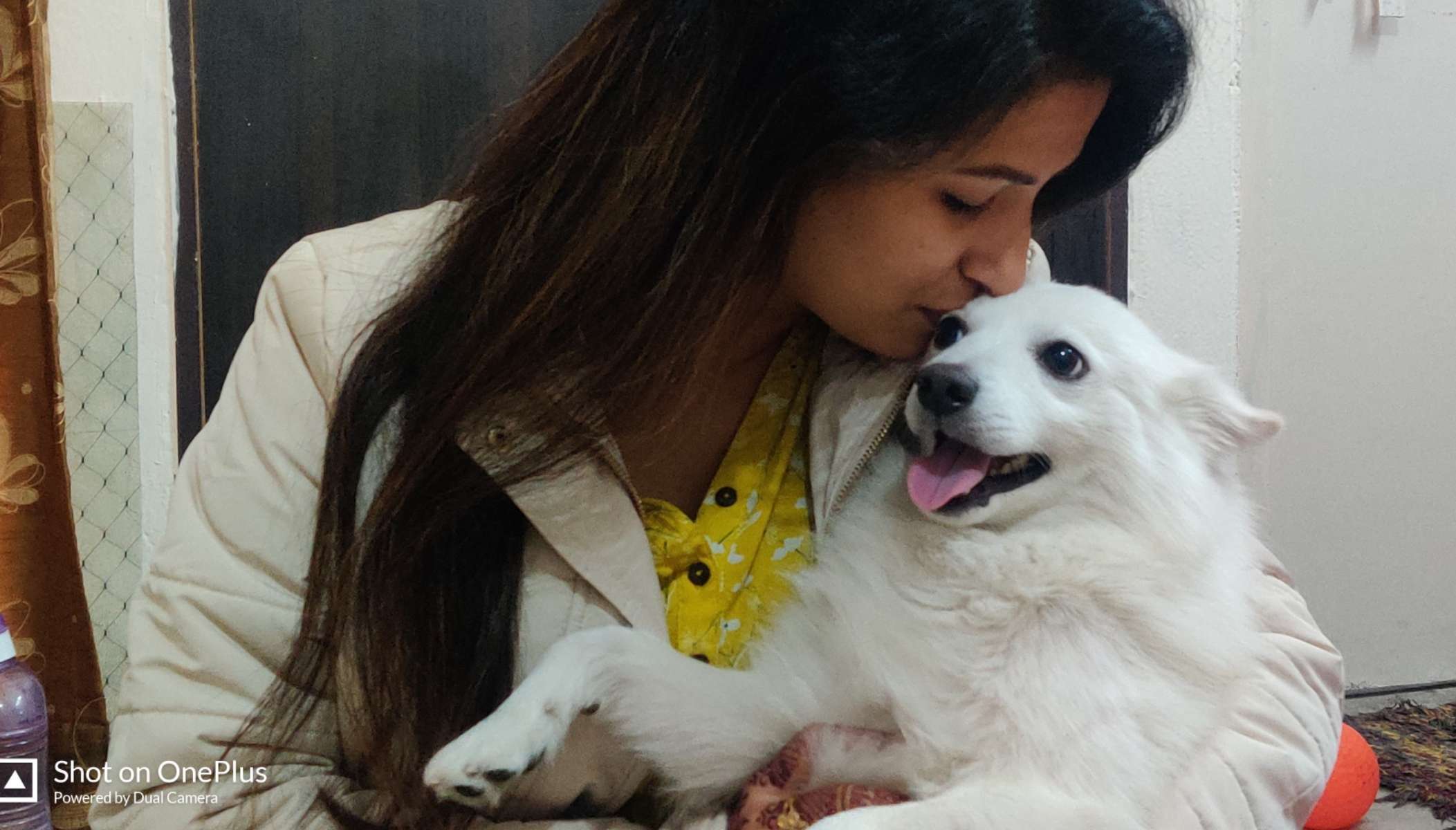 dog take care near me