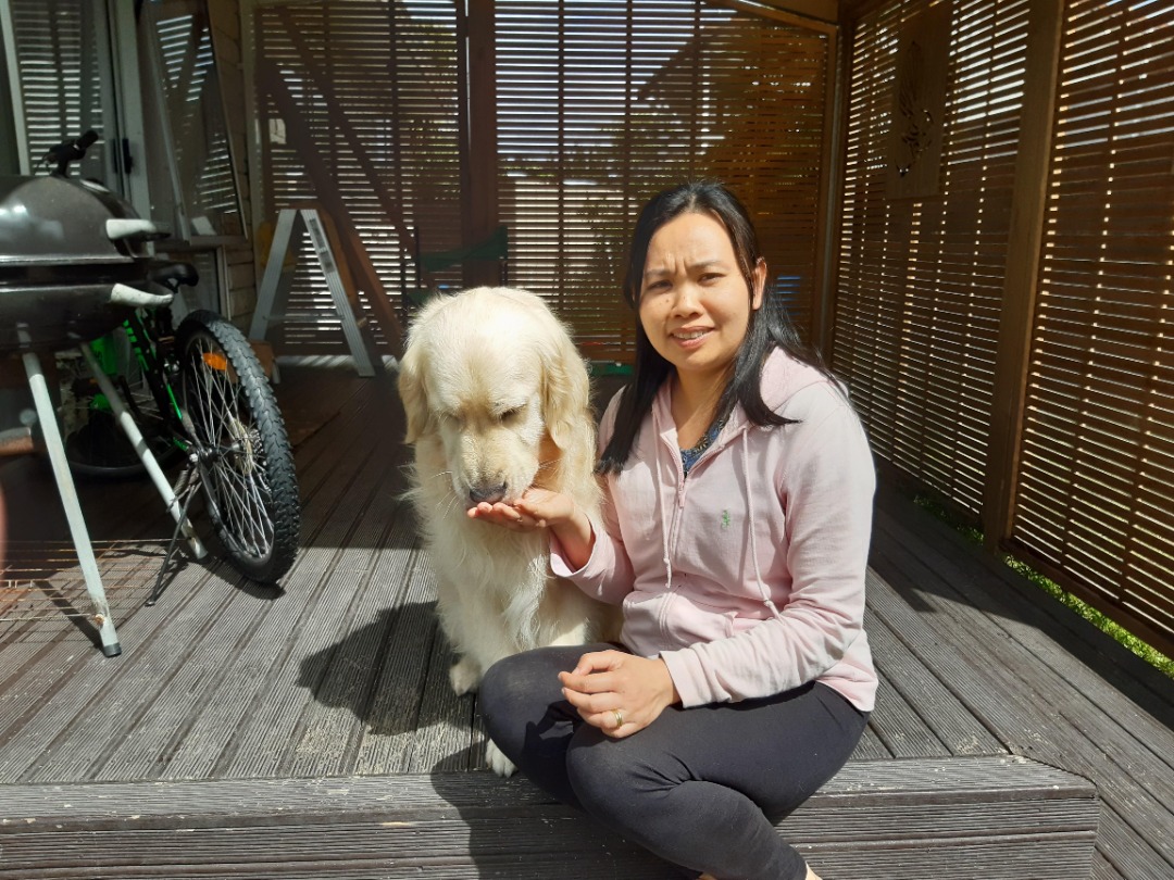 บางน้ำจืด Best Pet Boarding, Grooming and Pet Sitters Near Me