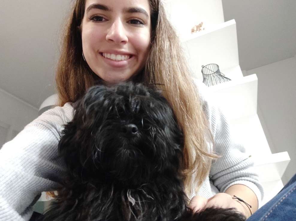 Top empfohlene Hunde Unterbringung in Torrent