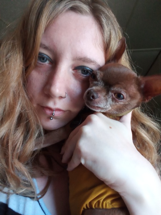 The 10 Best Guinea Pig Sitters Services Near Me (with Prices & Reviews)