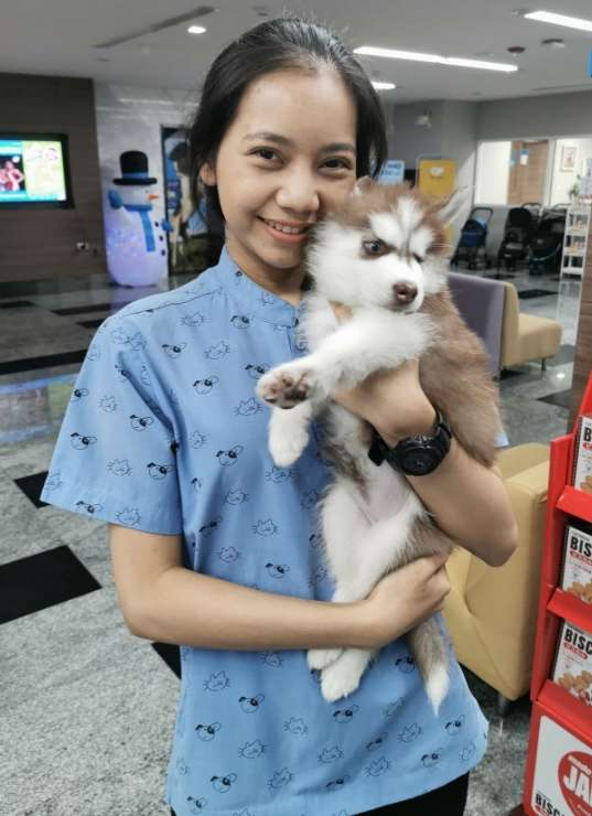 นครราชสีมา Best Dog, Cat Boarding by Pet Sitters with Grooming