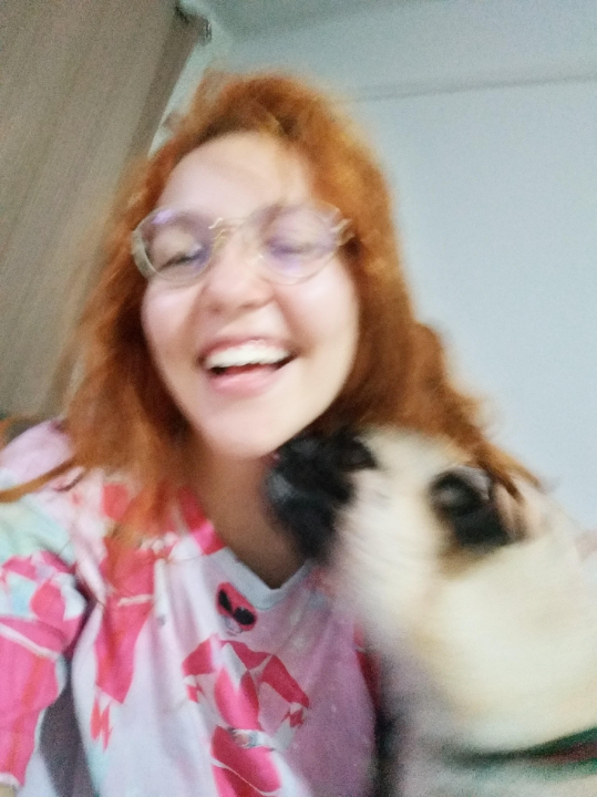 Top empfohlene Hunde Ausführen in Berlin