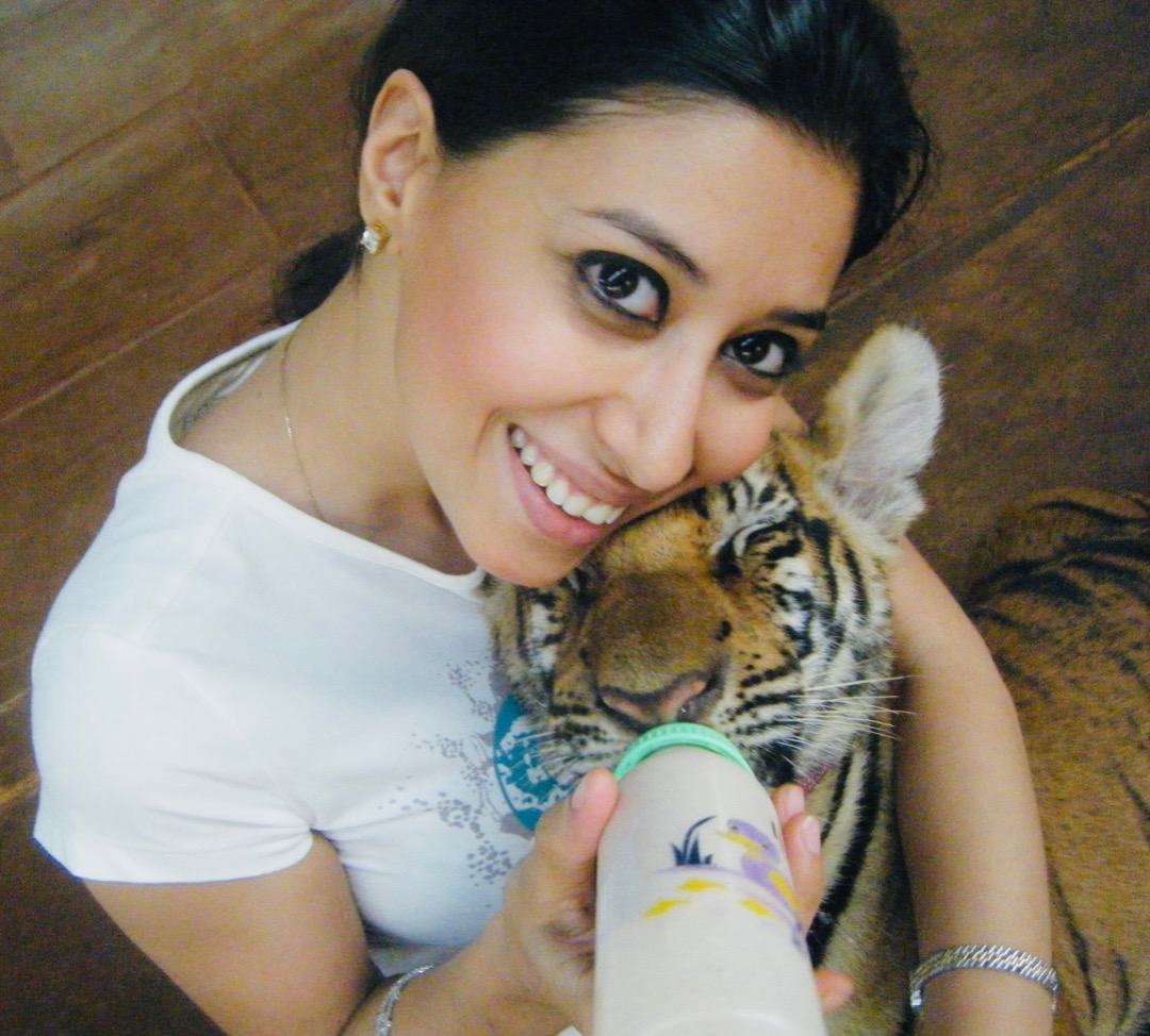 Dubai Best Pet Boarding, Grooming and Pet Sitters Near Me PetBacker