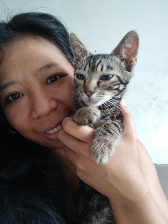 บางน้ำจืด Best Pet Boarding, Grooming and Pet Sitters Near Me