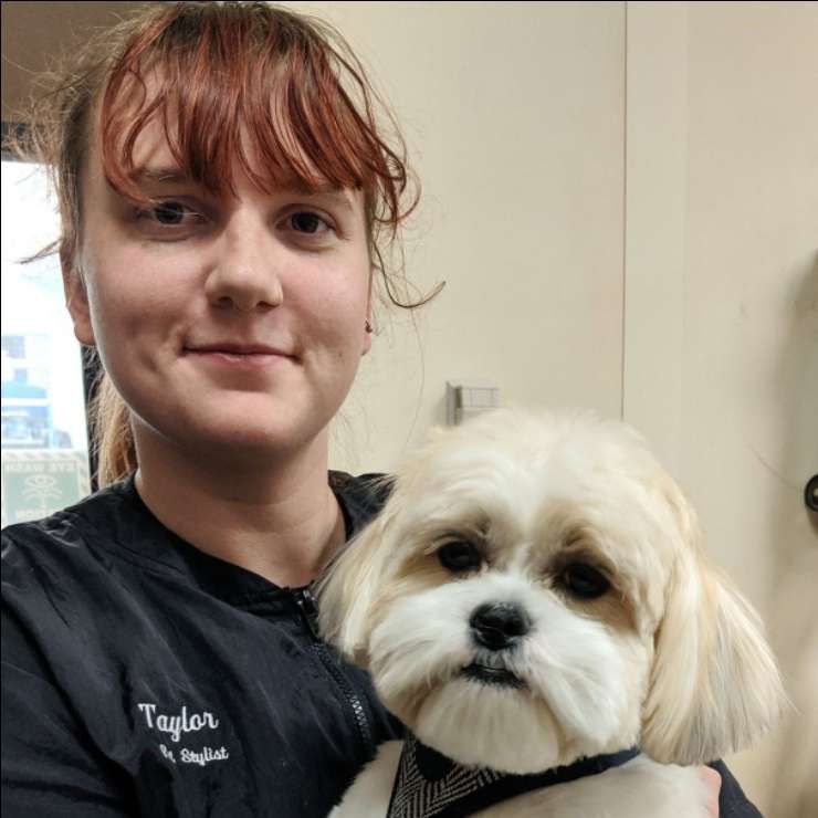 Top Pet Sitters in Simcoe with Best Prices on PetBacker